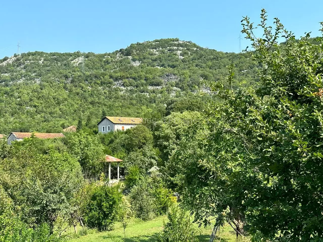 14160 large estate near the lake skadar 129