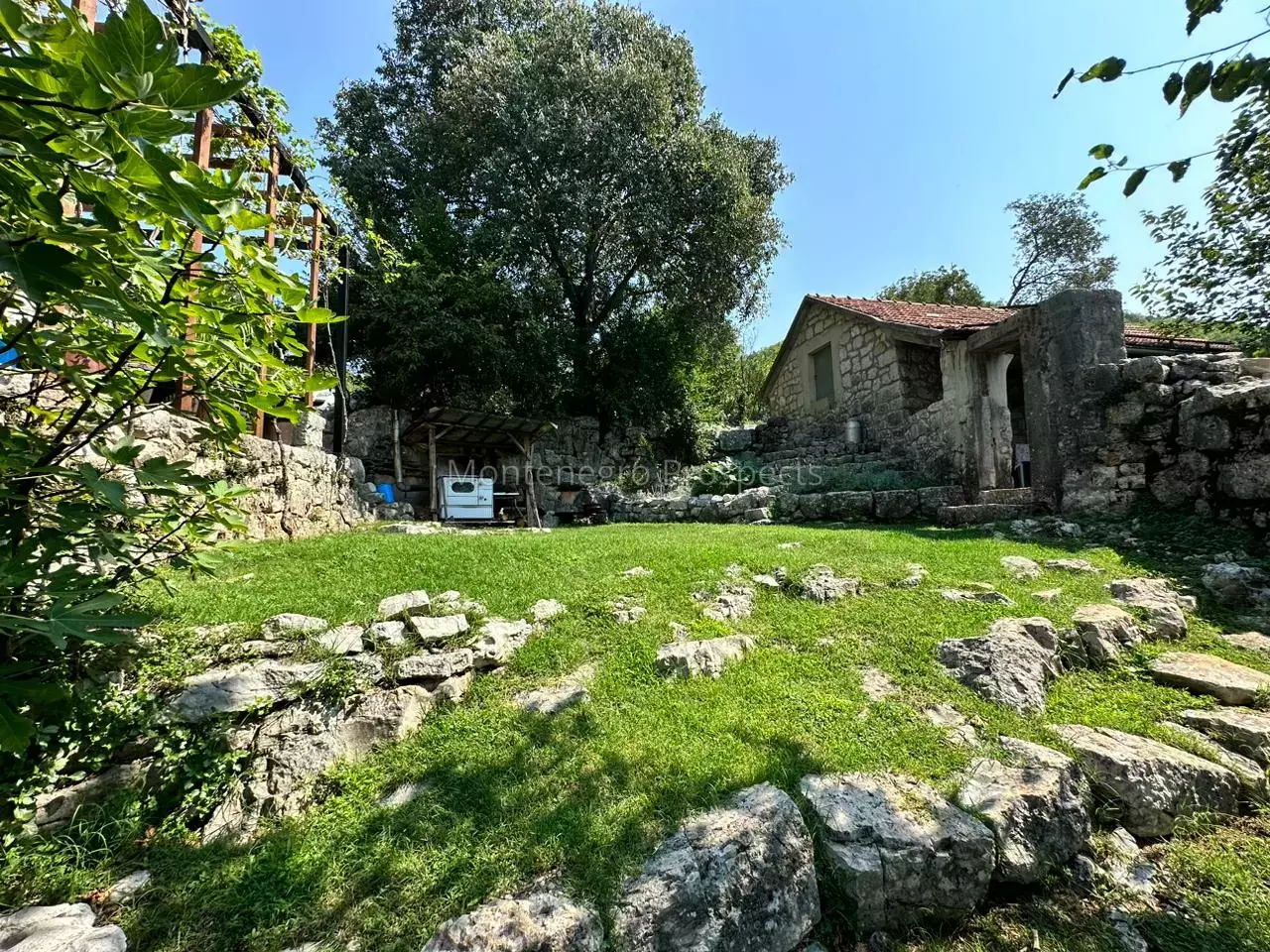14160 large estate near the lake skadar 4