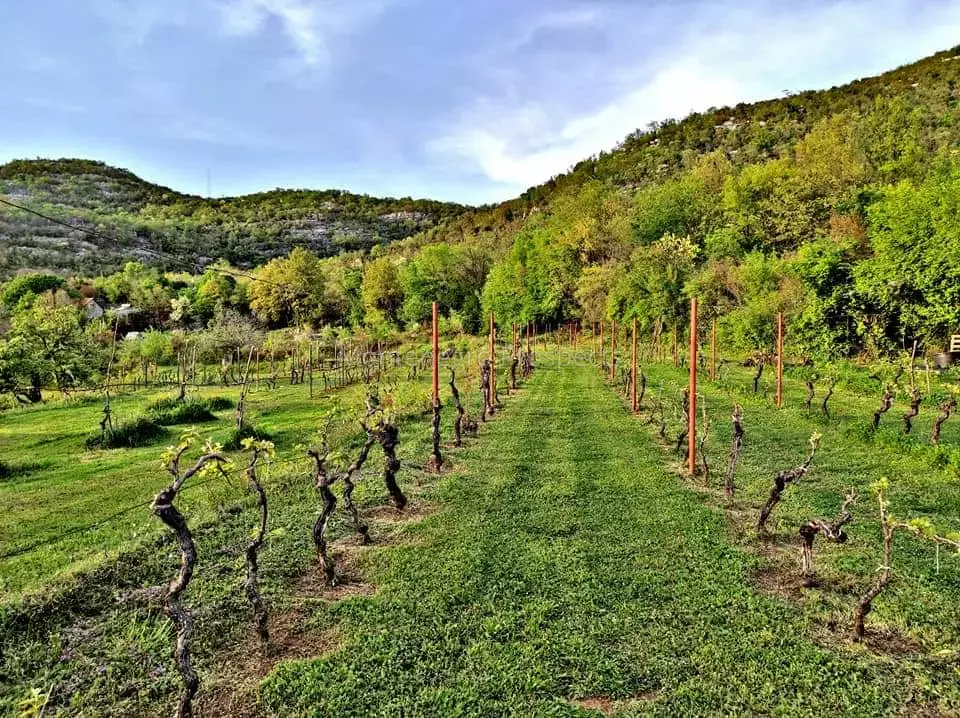 14160 large estate near the lake skadar 41