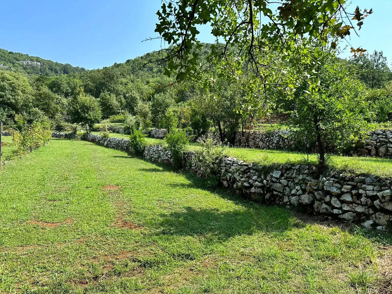 14160 large estate near the lake skadar 8