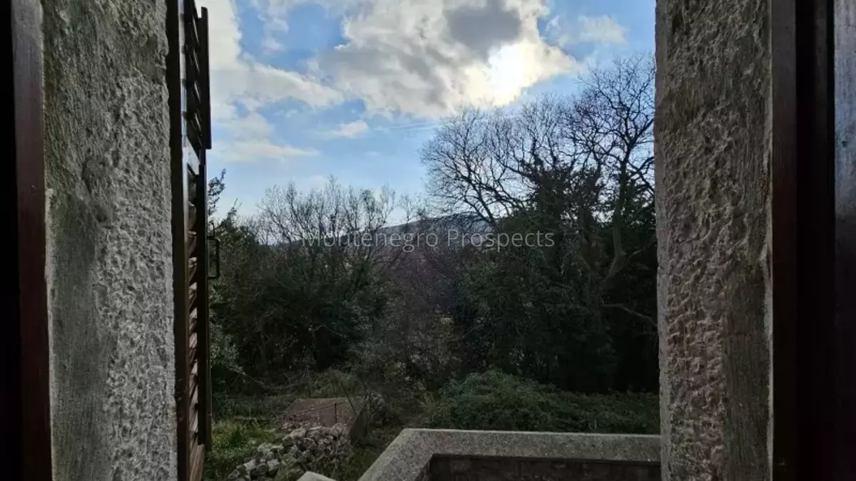 20240205 141039 800x600