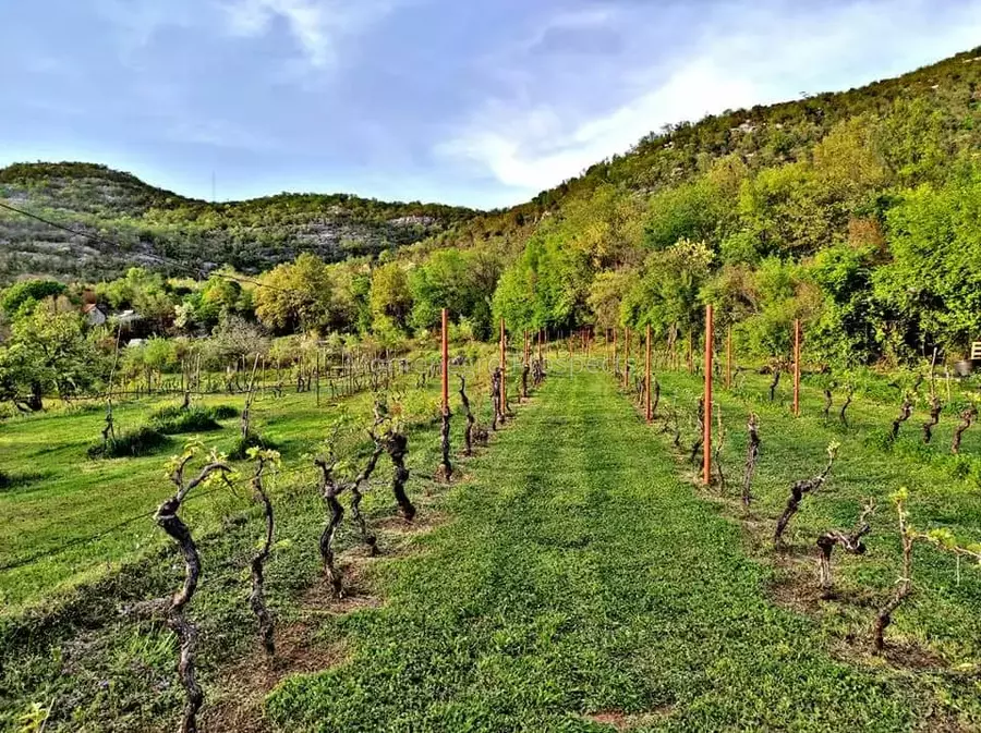 14160 large estate near the lake skadar 41