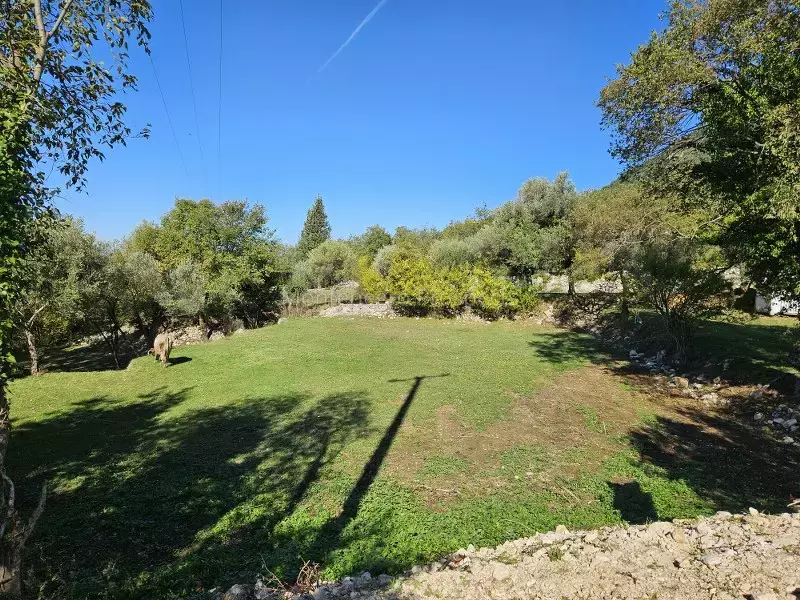 11414 1