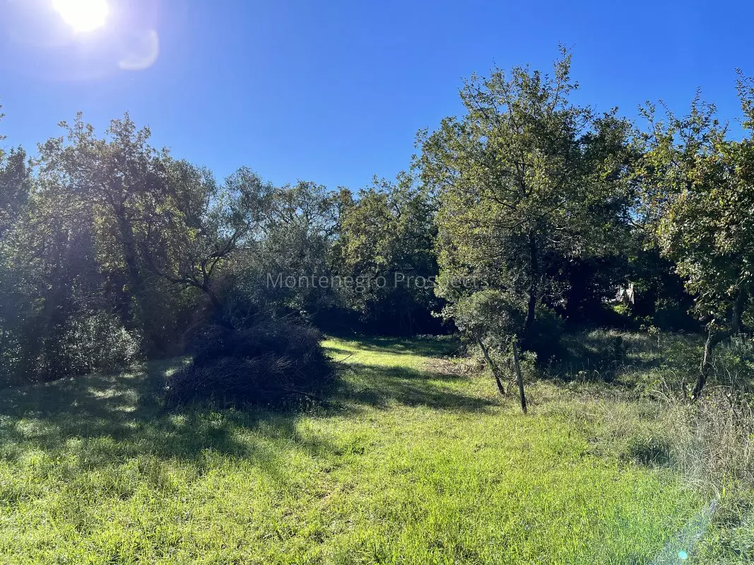 Plot for sale 13529 3 1067x800