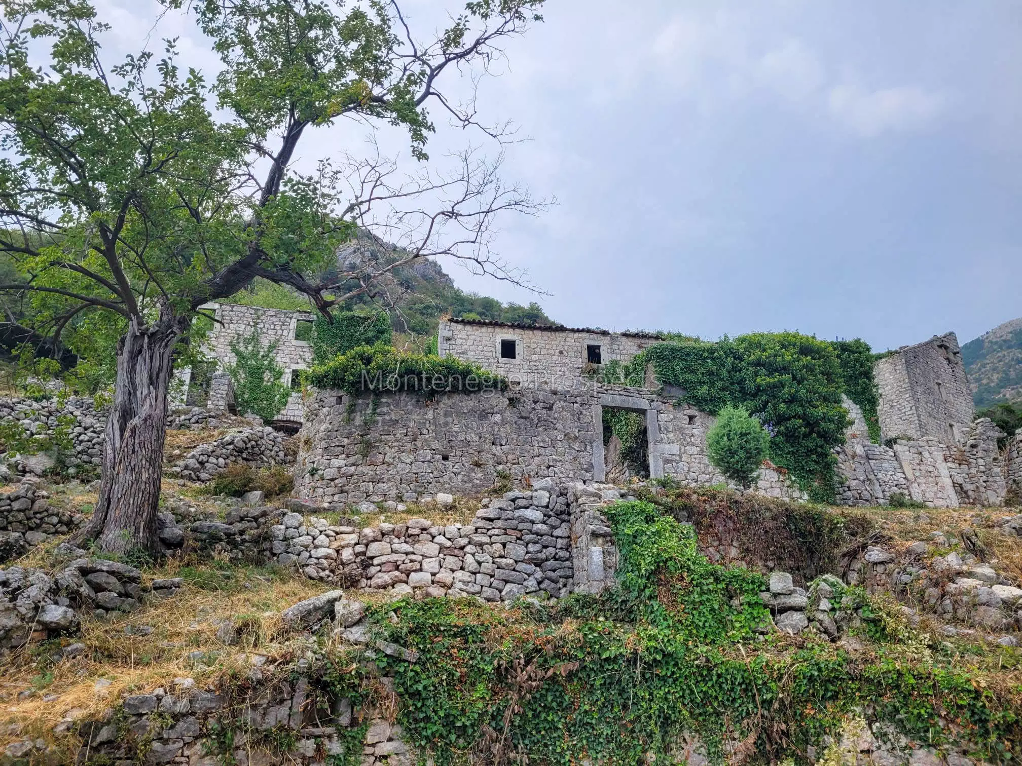 17118 village 1 of 1 23 14