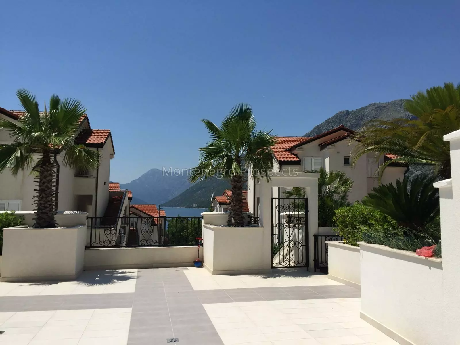 Izobrazhenie whatsapp 2024 08 05 v 11.59.22 6dc6aeb7