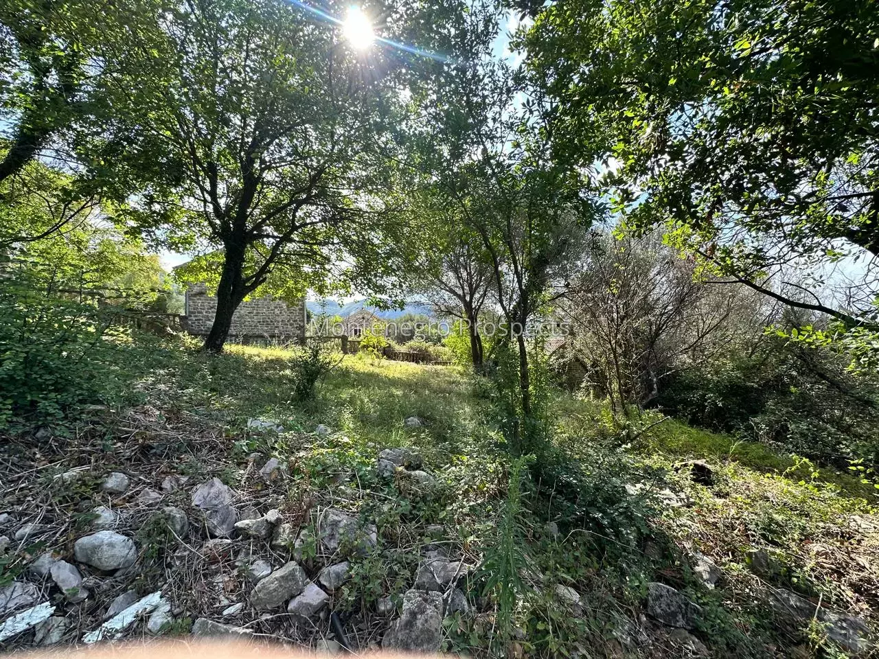 14173 plot in herceg novi 14.jpg