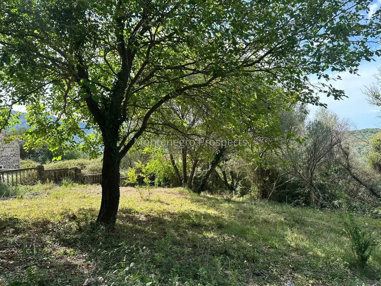 14173 plot in herceg novi 30.jpg