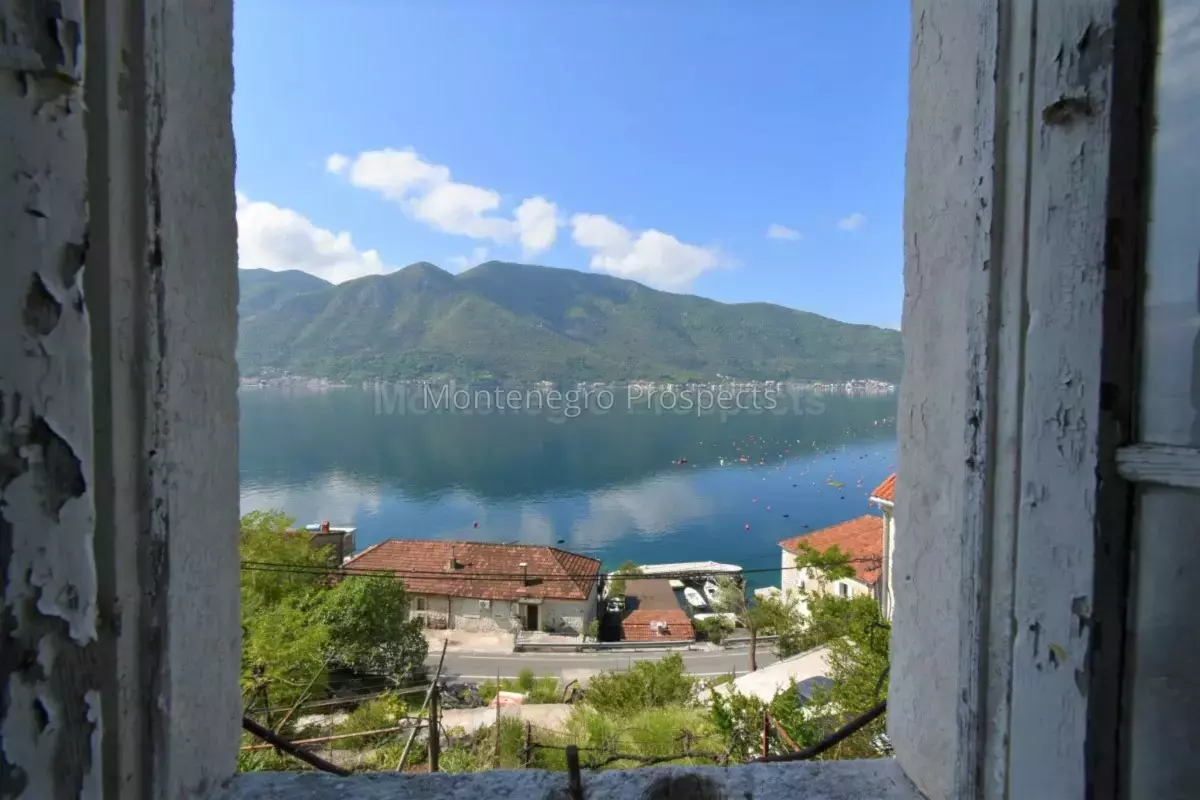 Kot 0323 1200x800.jpg