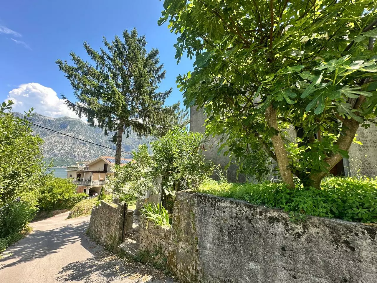 14189 house for renovation kotor 23