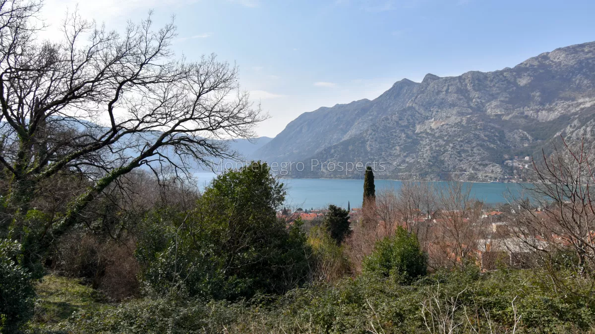 Plot for sale risan 13458 5