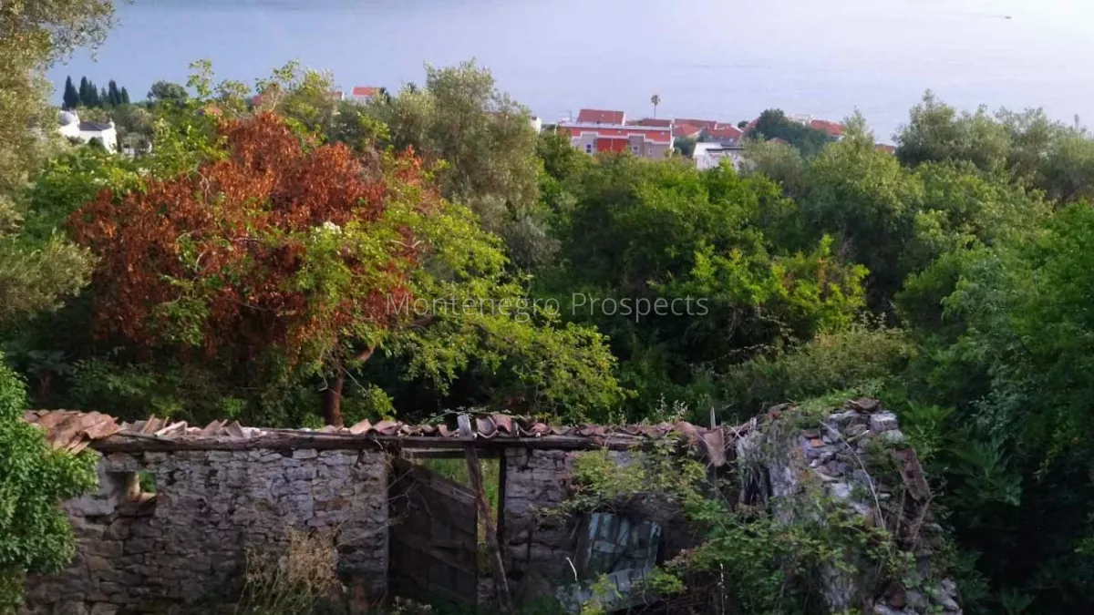 Prodaja placa 11219 1