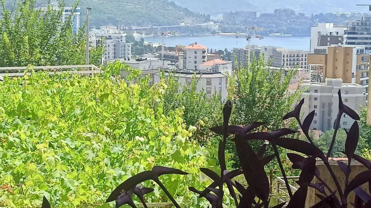 12747 babin do 5 1066x800