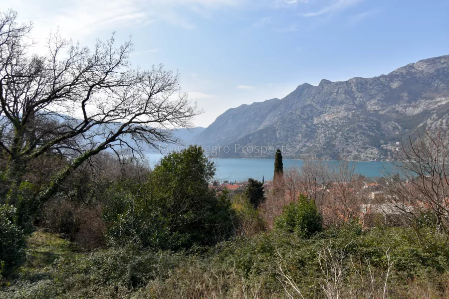 Plot for sale risan 13458 5