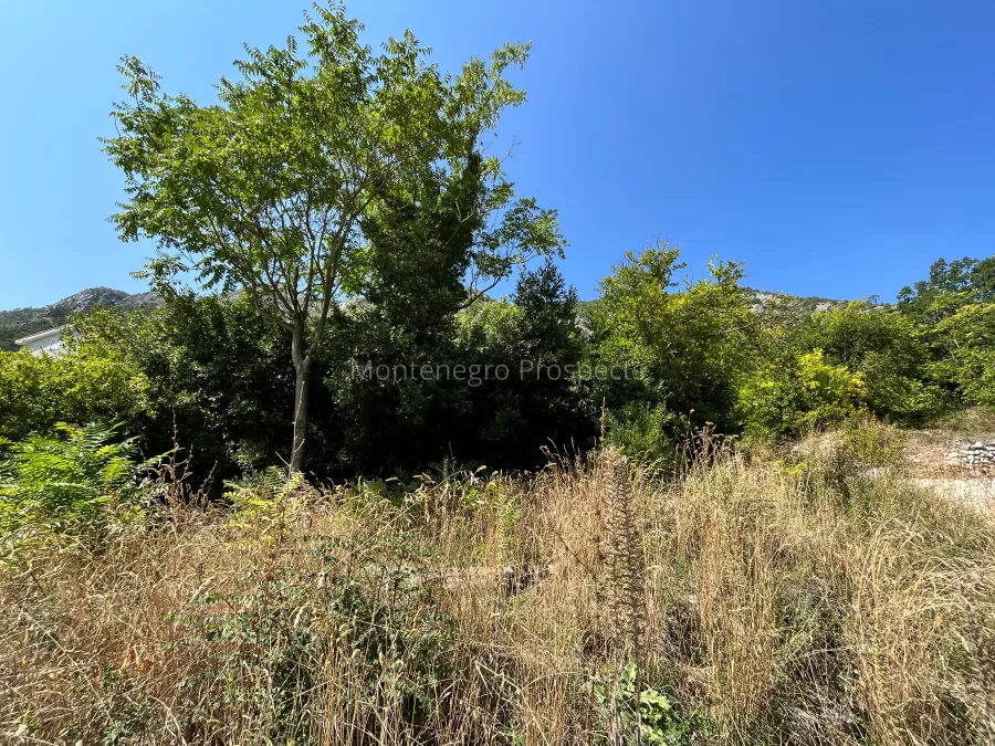 Plot for sale 13512 3