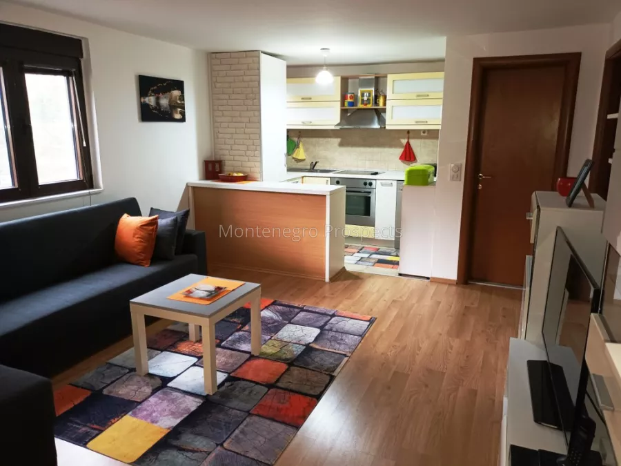 Spacious two bedroom apartment prcanj 13539 6