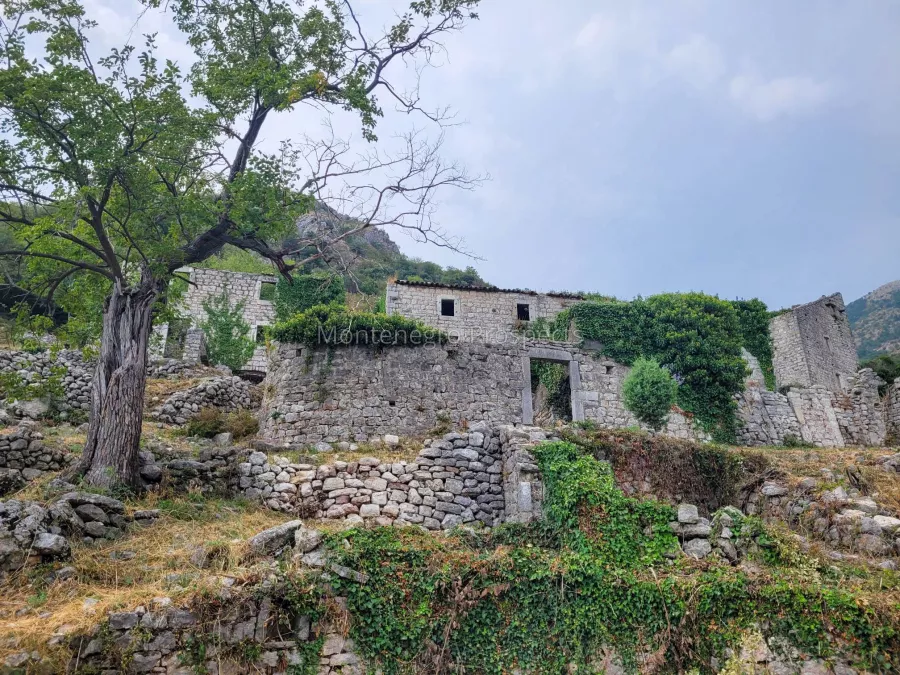 17118 village 1 of 1 23 14