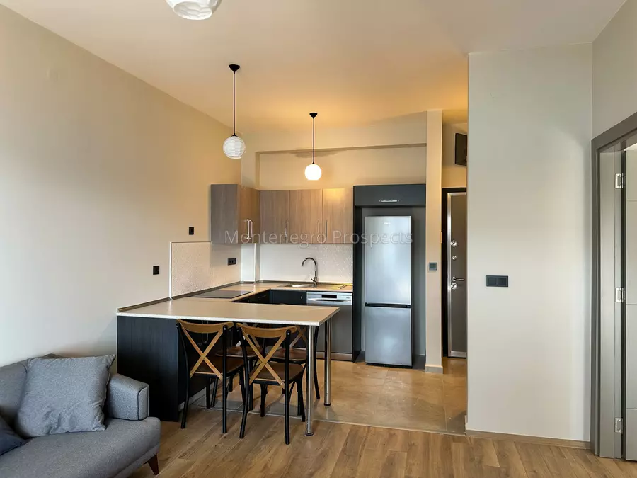 One bedroom apartment 13726 5