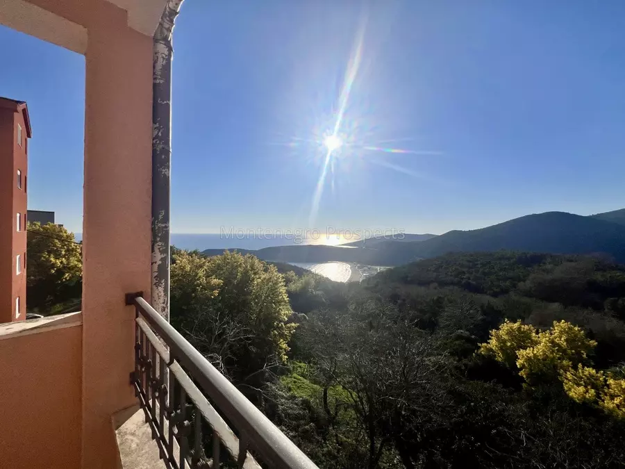 Spacious three bedroom apartment with stuuning sea views above jaz beach budva 13785 8