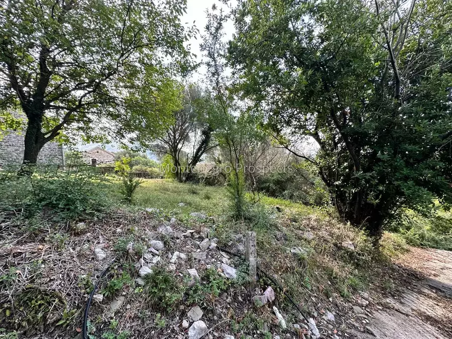 14173 plot in herceg novi 27.jpg