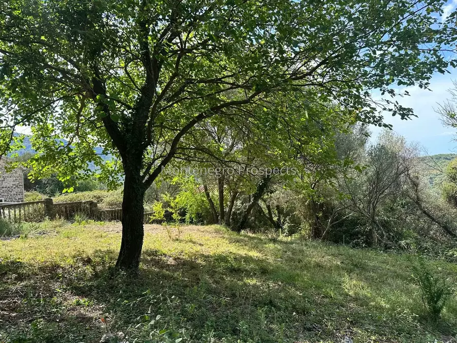 14173 plot in herceg novi 30.jpg