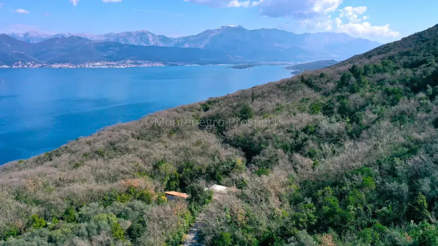 14182 plot in zabrdje 1